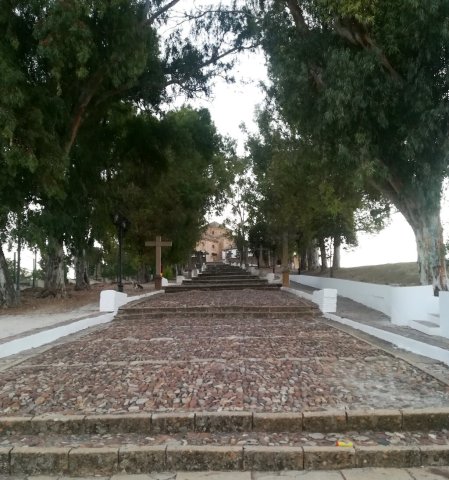 Calza (1)